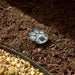Smart Solar Paw Print Solar Accent Lights - Set of 6 3341WMM6