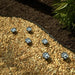 Smart Solar Paw Print Solar Accent Lights - Set of 6 3341WMM6