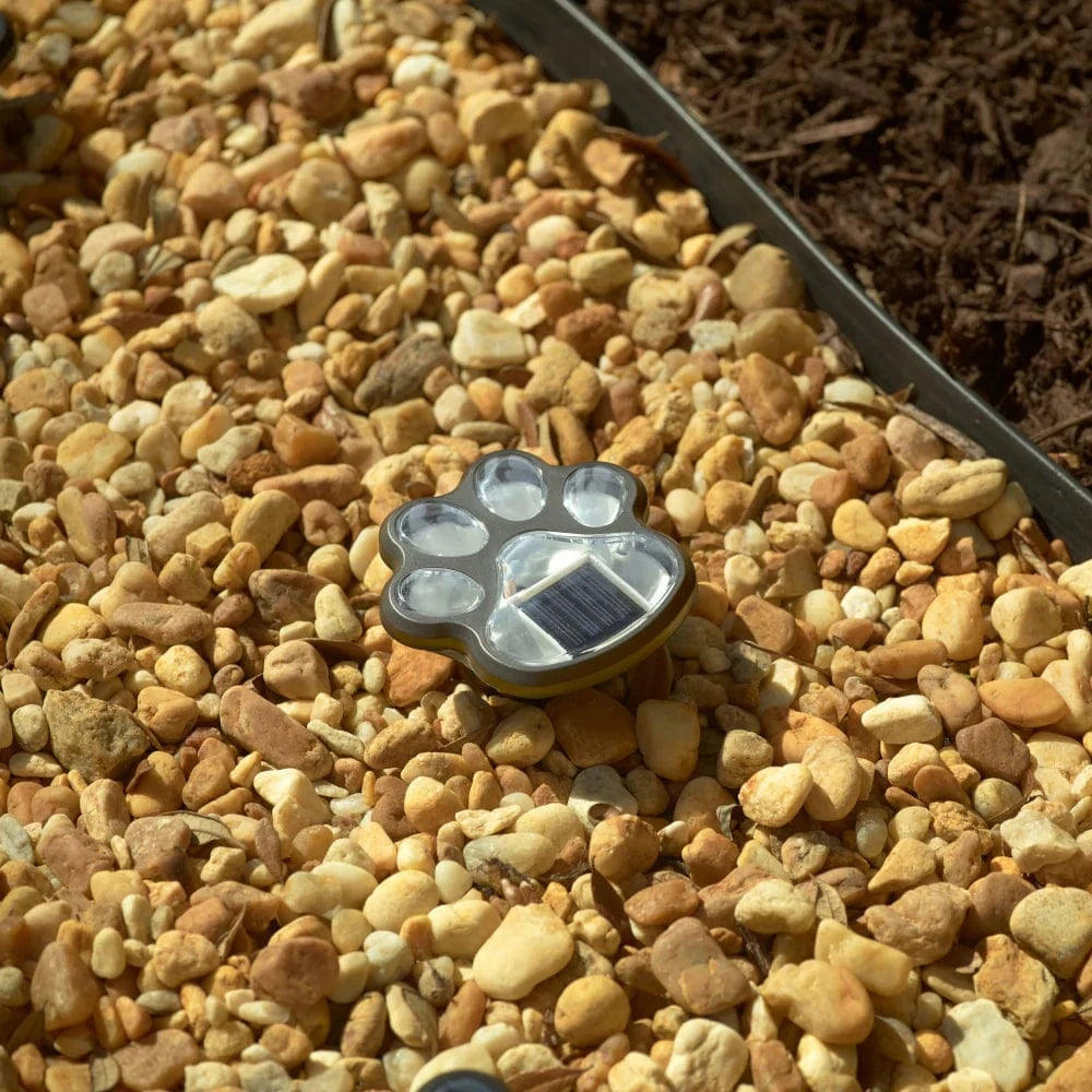Smart Solar Paw Print Solar Accent Lights - Set of 6 3341WMM6