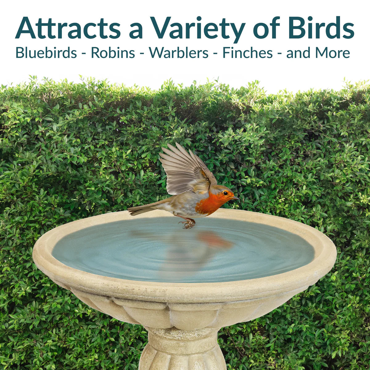 Sunnydaze Grecian Garden 20.25" H Reinforced Concrete Bird Bath