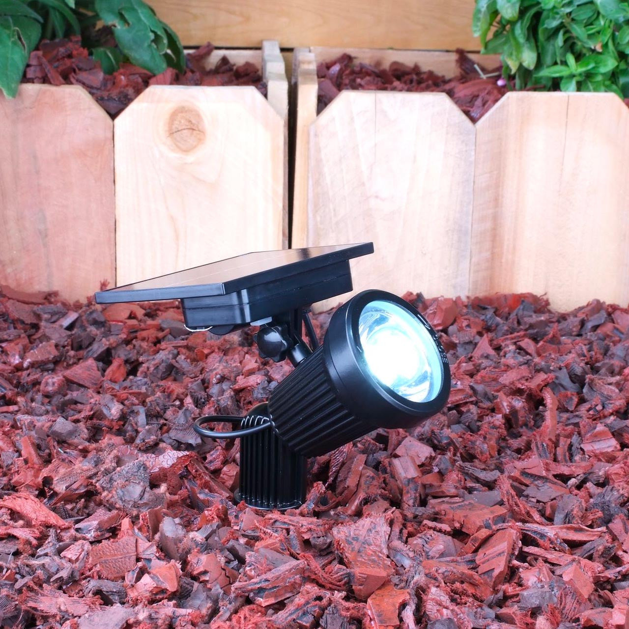 Yard Bright Cool White Solar Spot Light