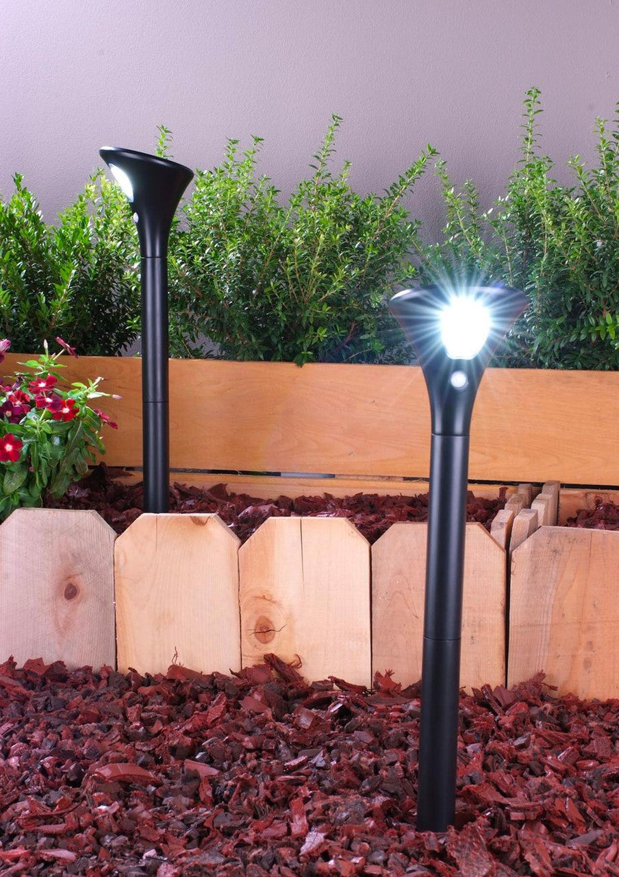 Yard Bright Solar Path Light with Motion Detector GBT8086-CW