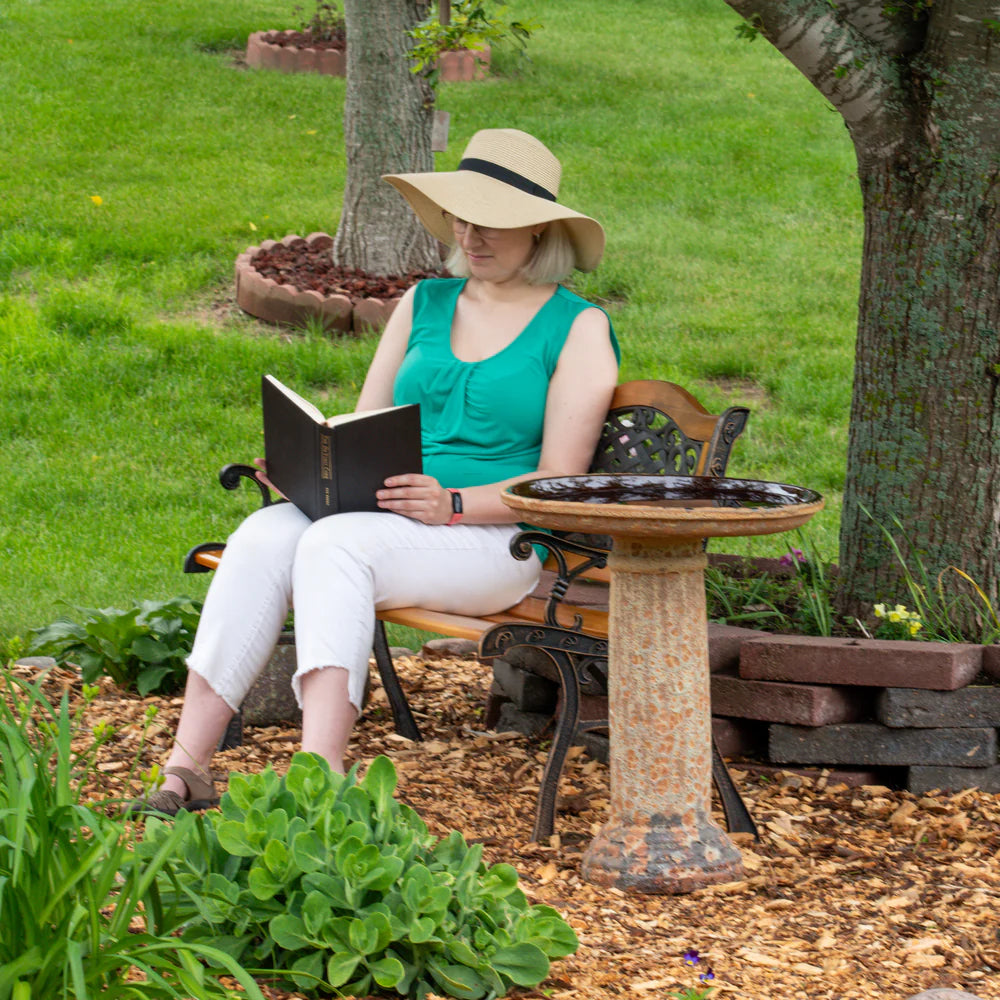 Sunnydaze Toulon 24.5" H Outdoor Ceramic Bird Bath