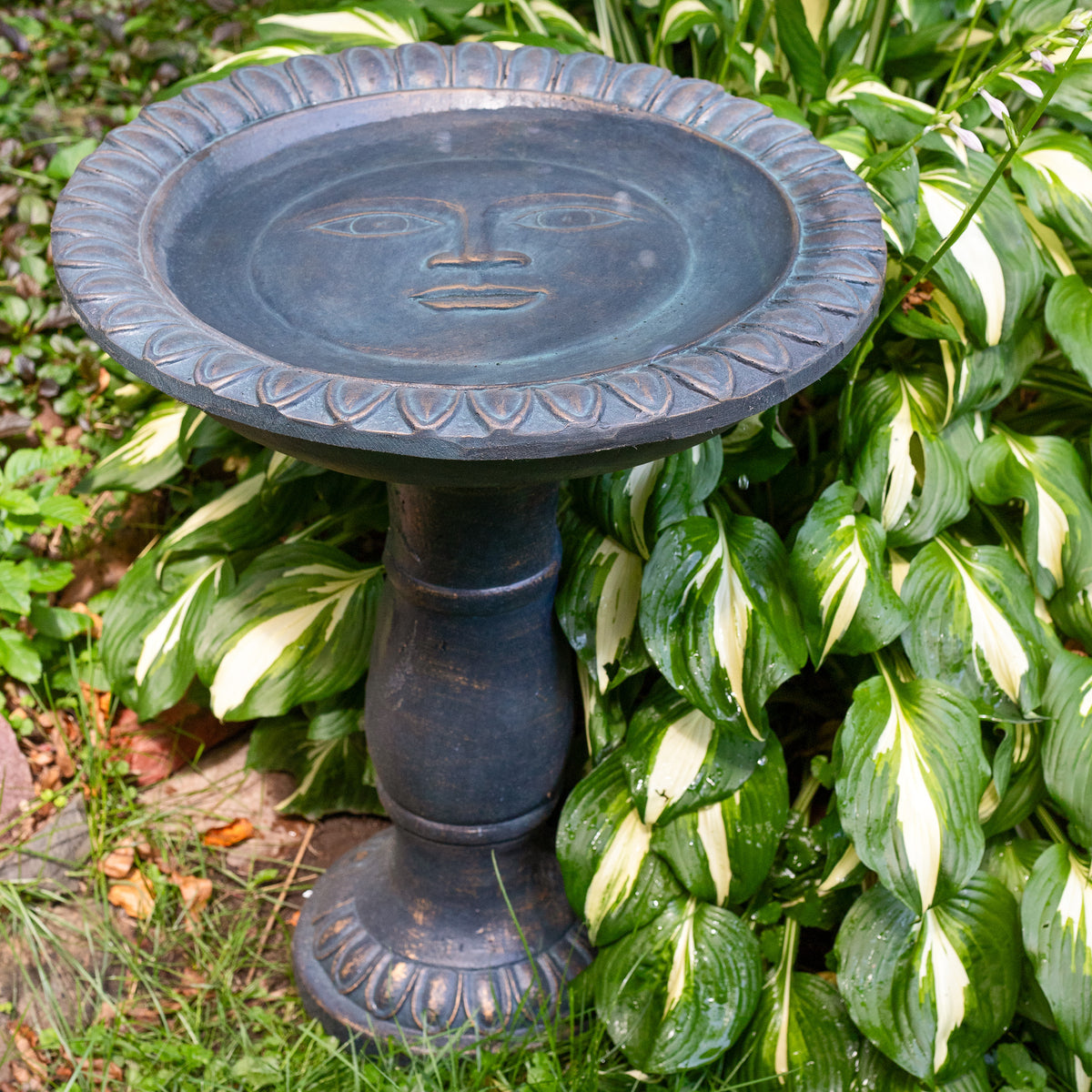 Sunnydaze Façade du Soleil 26" Reinforced Concrete Bird Bath