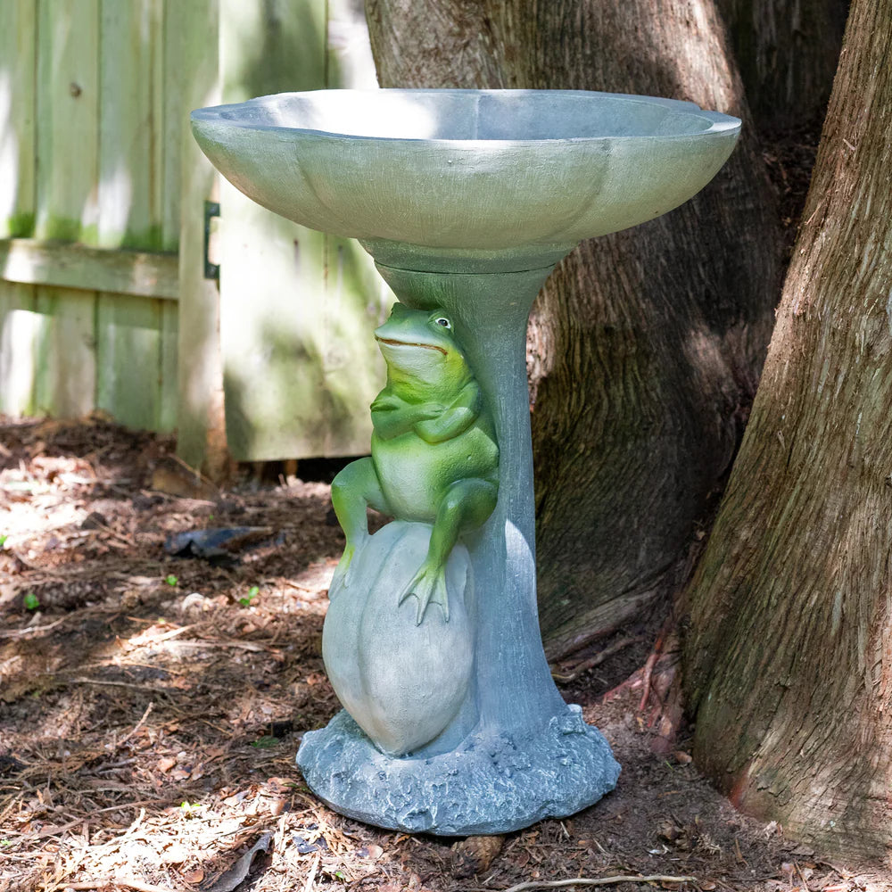 Sunnydaze Polyresin Brooding Frog on Stone Outdoor Garden Bird Bath WNC-796