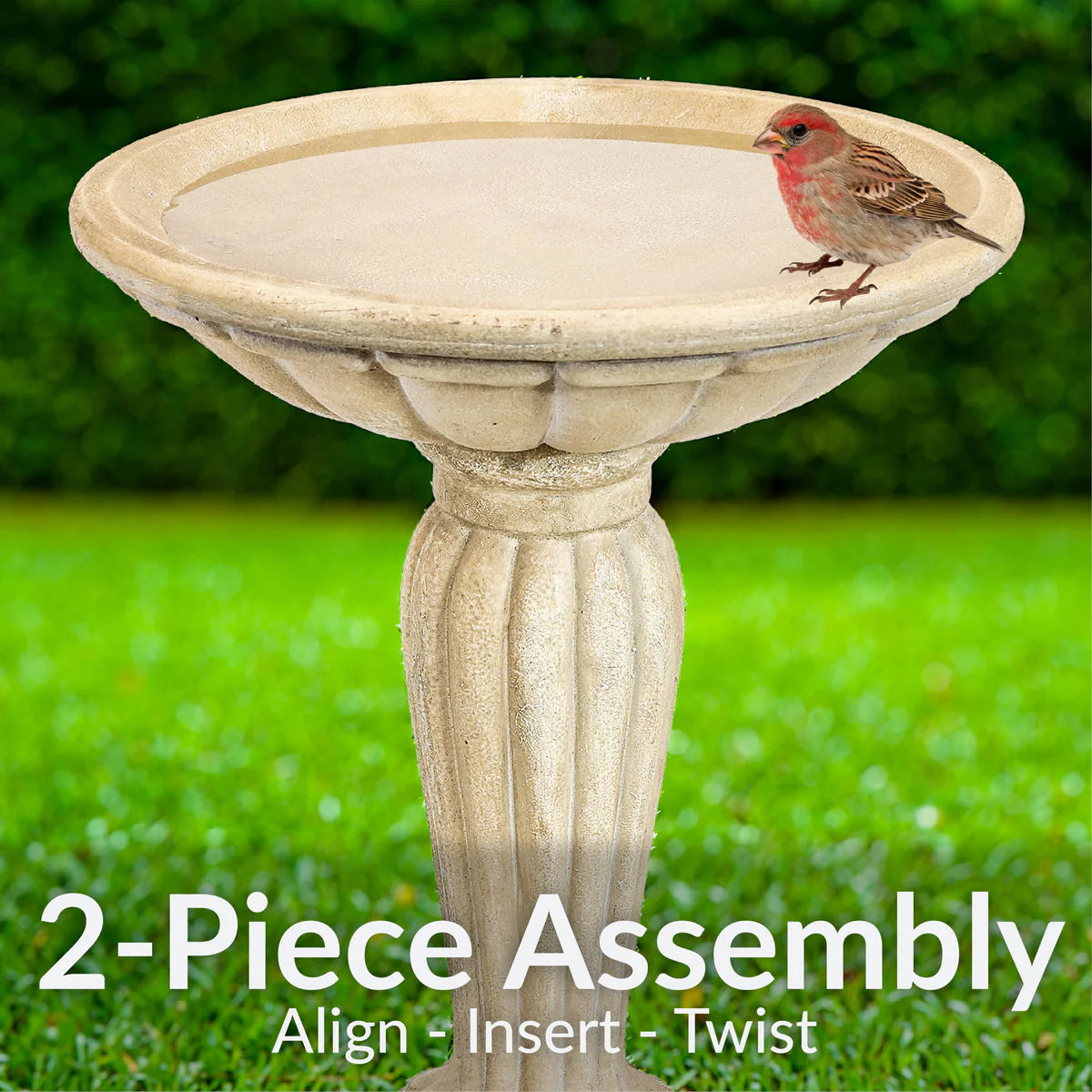 Sunnydaze Grecian Garden 20.25" H Reinforced Concrete Bird Bath