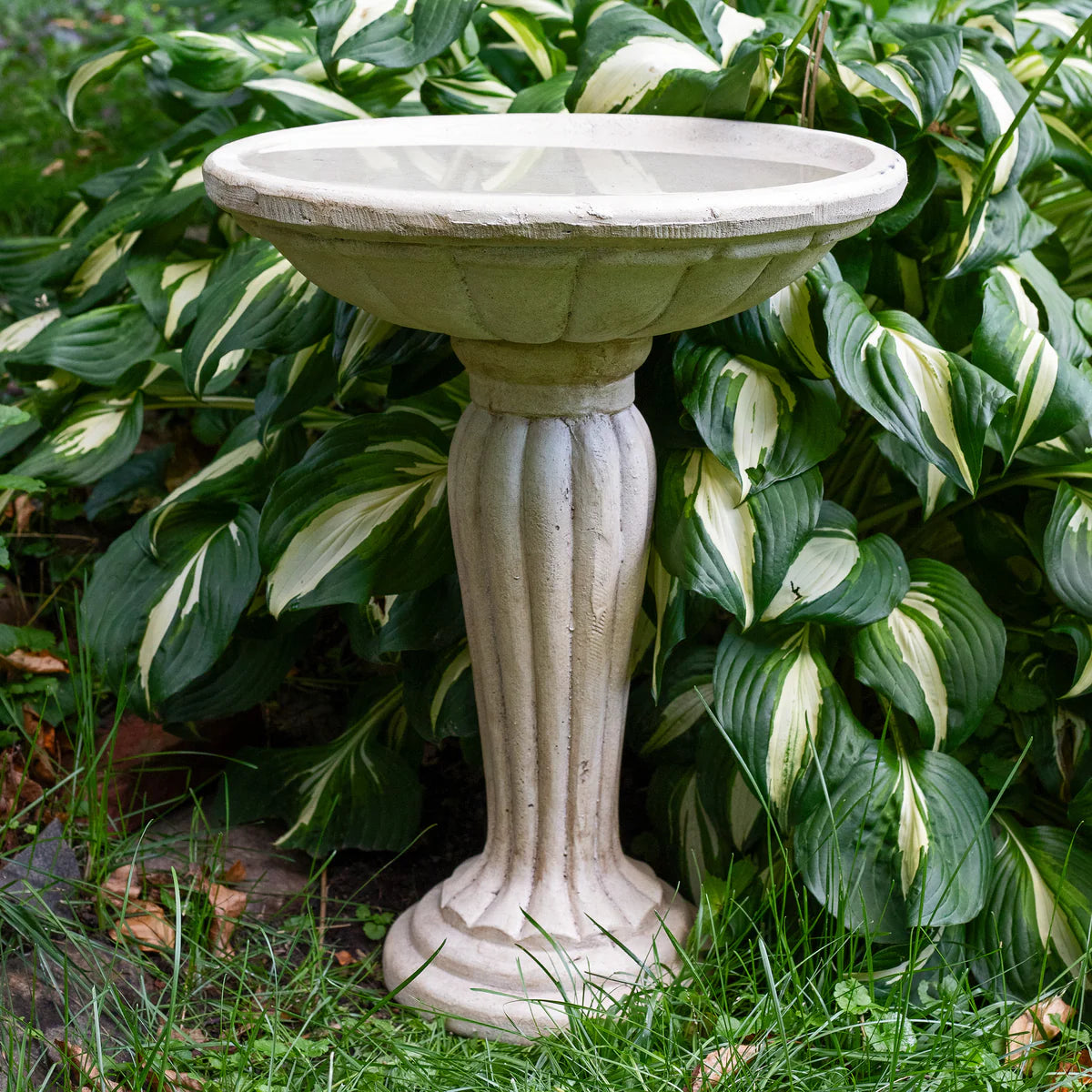 Sunnydaze Grecian Garden 20.25" H Reinforced Concrete Bird Bath