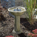 Smart Solar Outdoor Fountains Acadia Frog Solar Birdbath / 17.5" W x 25" H Smart Solar Acadia Frog Solar Birdbath 20633R01