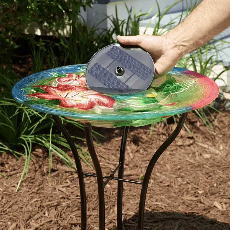 Smart Solar Outdoor Fountains AquaNura Solar Mini Birdbath Kit 21500R01 / 6.0” Dia x 1.5” H Smart Solar Aquanura Solar Mini Birdbath Kit 21500R01