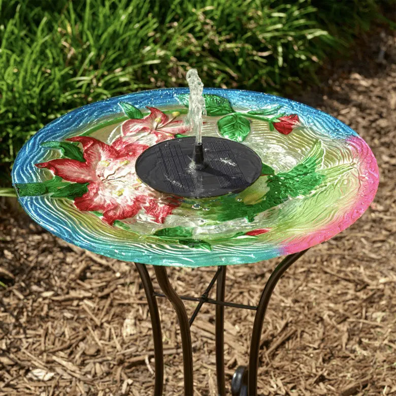 Smart Solar Outdoor Fountains AquaNura Solar Mini Birdbath Kit 21500R01 / 6.0” Dia x 1.5” H Smart Solar Aquanura Solar Mini Birdbath Kit 21500R01