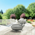 Smart Solar Outdoor Fountains Marin Solar Fish Fountain / 15.75